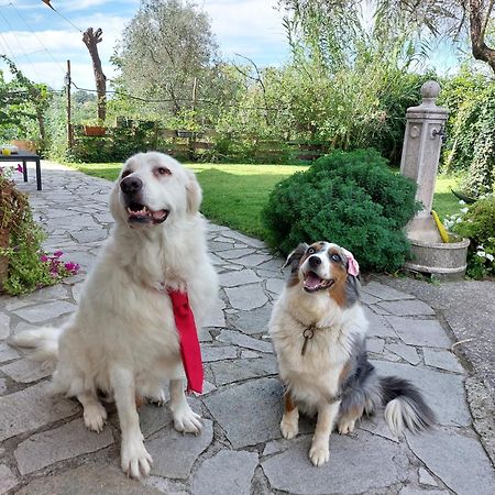 Il Giardino Del Nespolo Hotel Arcola Bagian luar foto